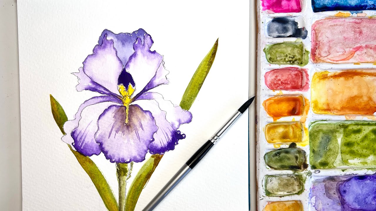 From Sketch to Stunning: Beautiful Watercolor Iris step-by-step! 🎨 Beginners this is for you