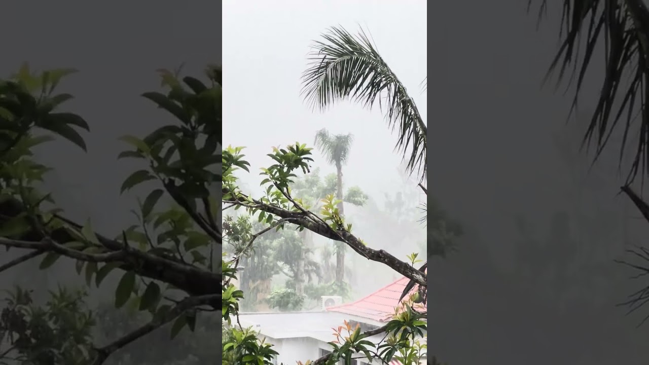 3 Minutes of Montego Bay Rain 