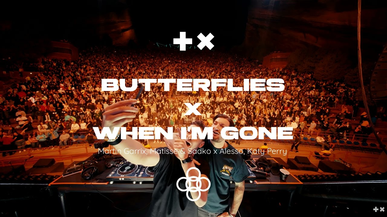 Martin Garrix, Matisse & Sadko x Alesso - Butterflies x When Im Gone (Alesso & Martin Garrix Mashup)