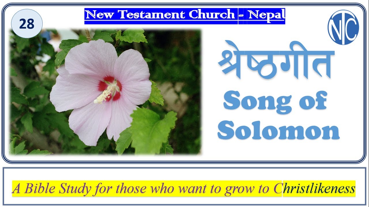 28 - Song of Solomon, New Testament Church Nepal