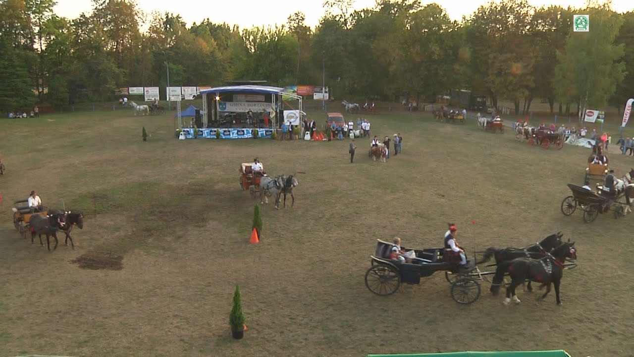 Klikowska Parada Konna 2015