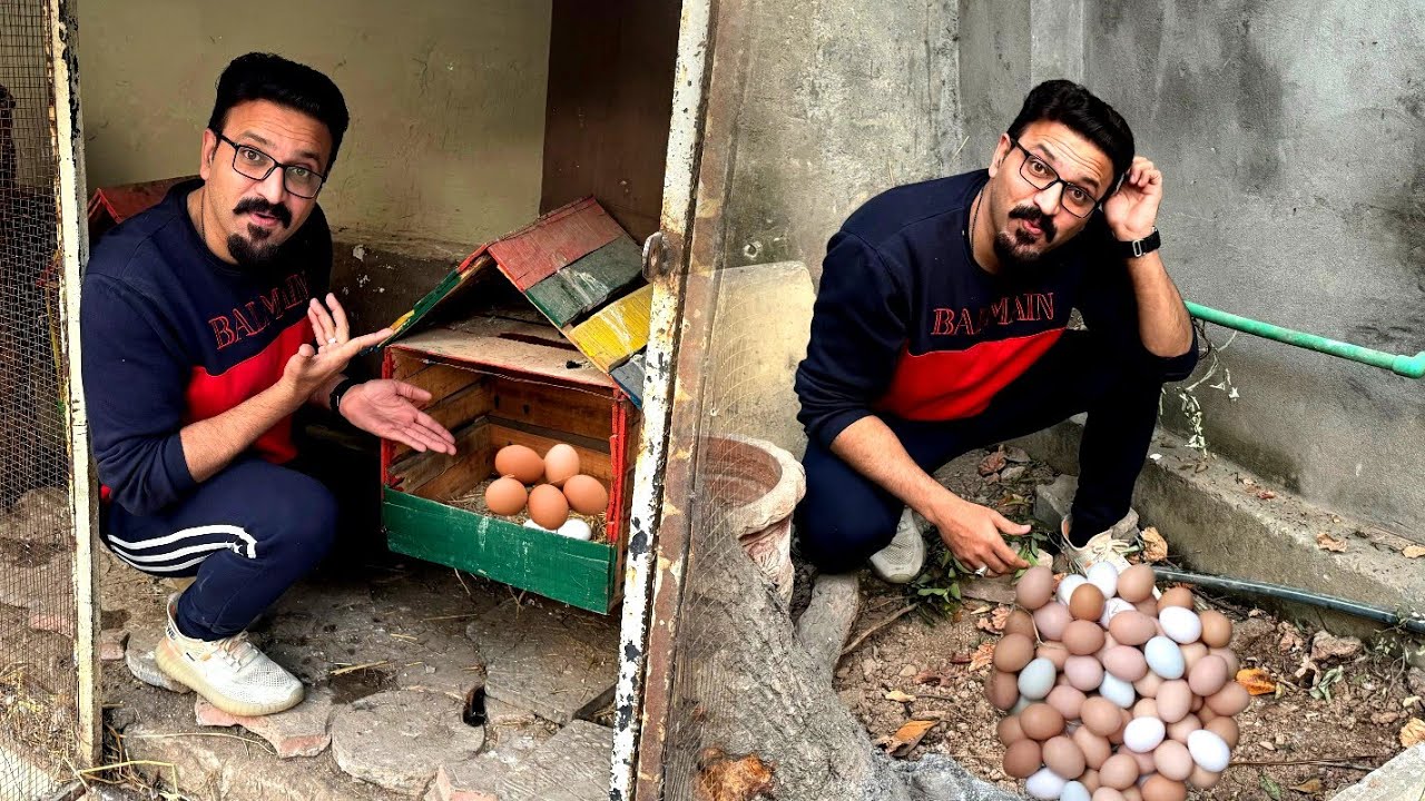 itnay sary eggs surprise mill gay 😋😋🤪🤪