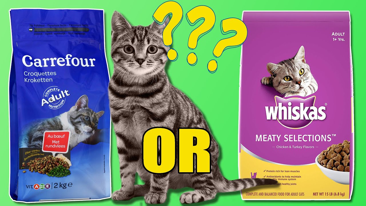 Expensive Whiskas vs Cheap Carrefour Cat Food Challenge