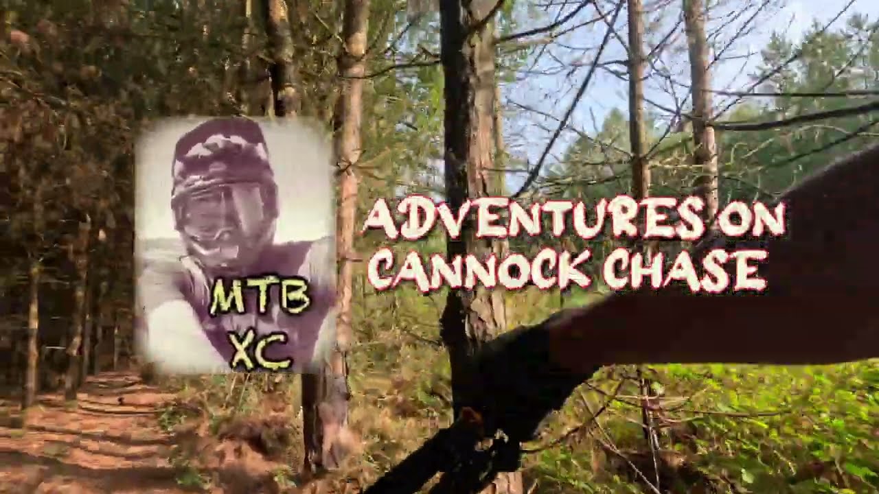 Cannock Chase off piste