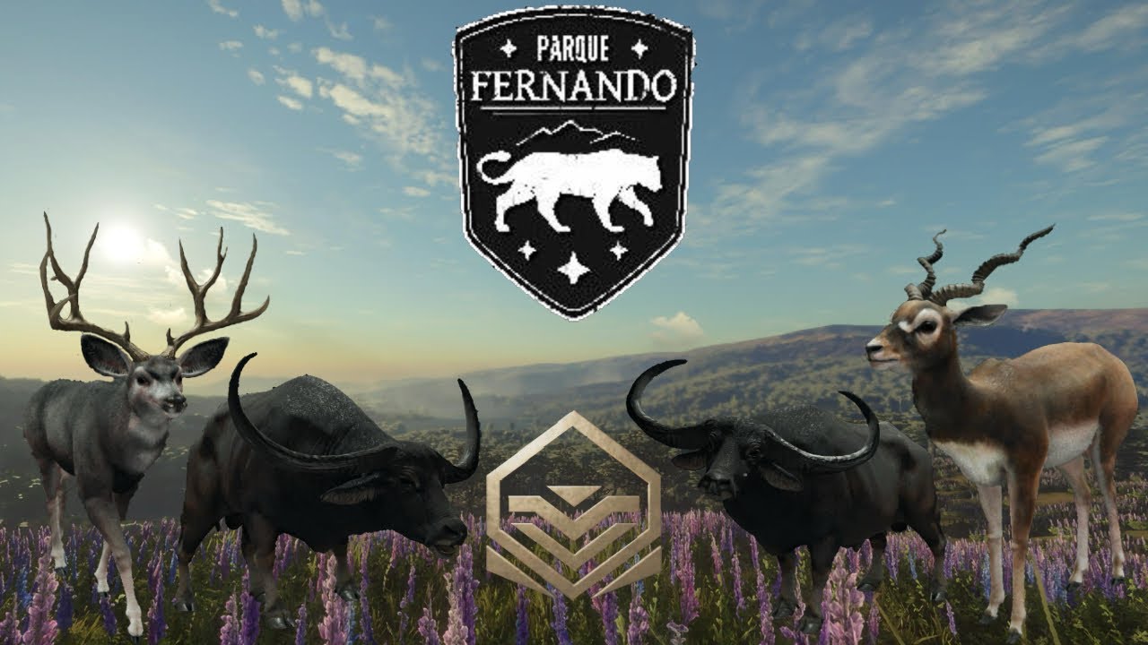 Parque Fernando GOLD Challange