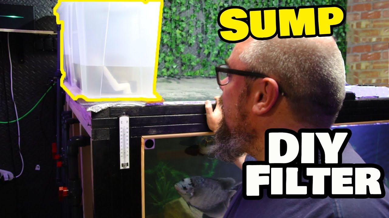 DIY Overhead sump filter -  Aquarium Filtration ON THE CHEAP!
