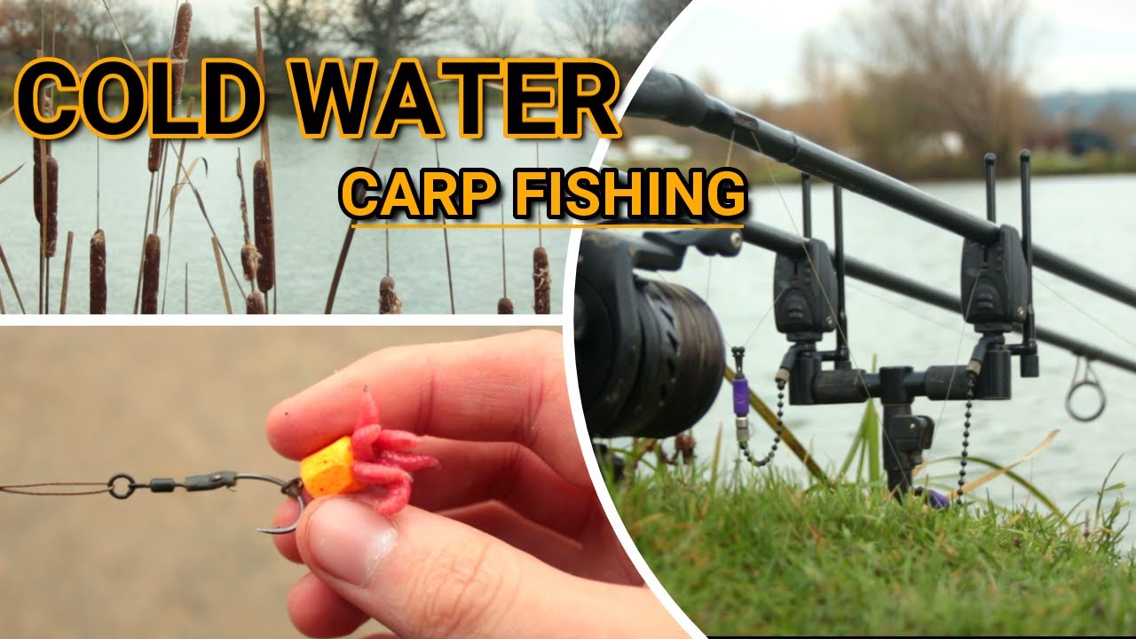 **COLD WATER CARP FISHING**Winter Tactics ꟾ Monk Lakes ꟾ December 2020