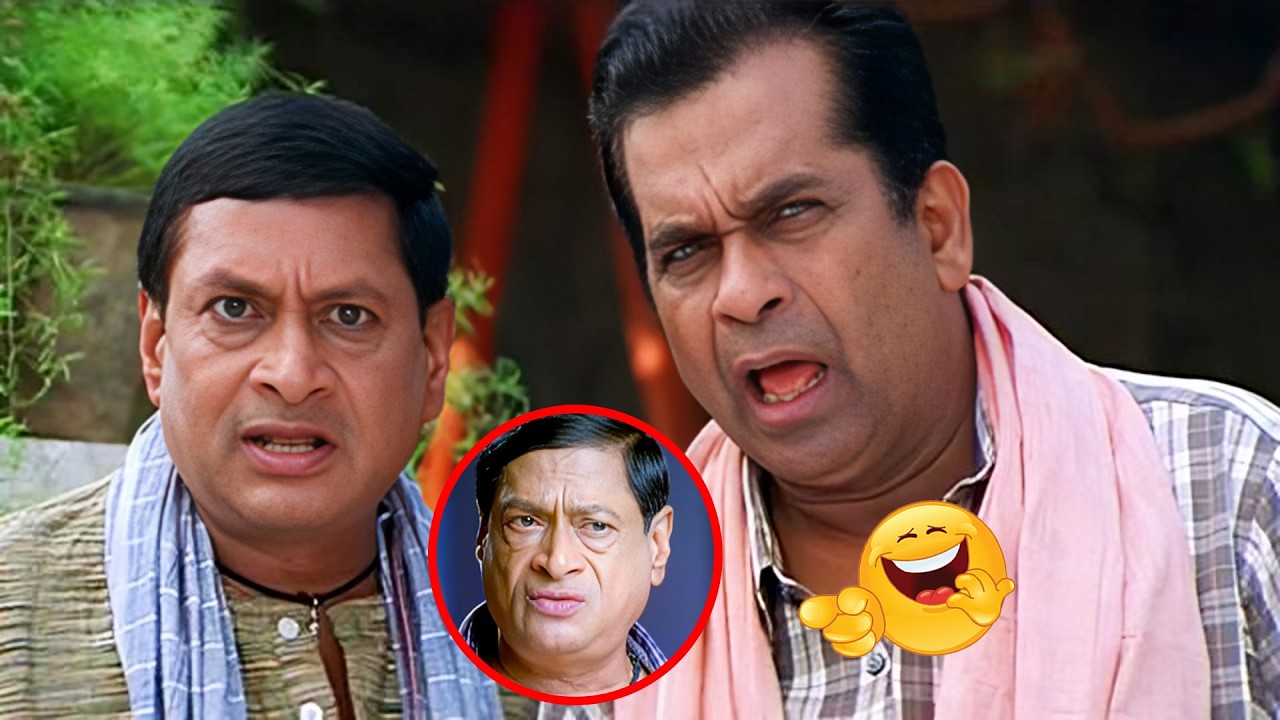 Ms Narayana Back To Back Comedy Scenes Telugu | Ms Narayana Non Stop Comedy Scenes | Comedy Scenes