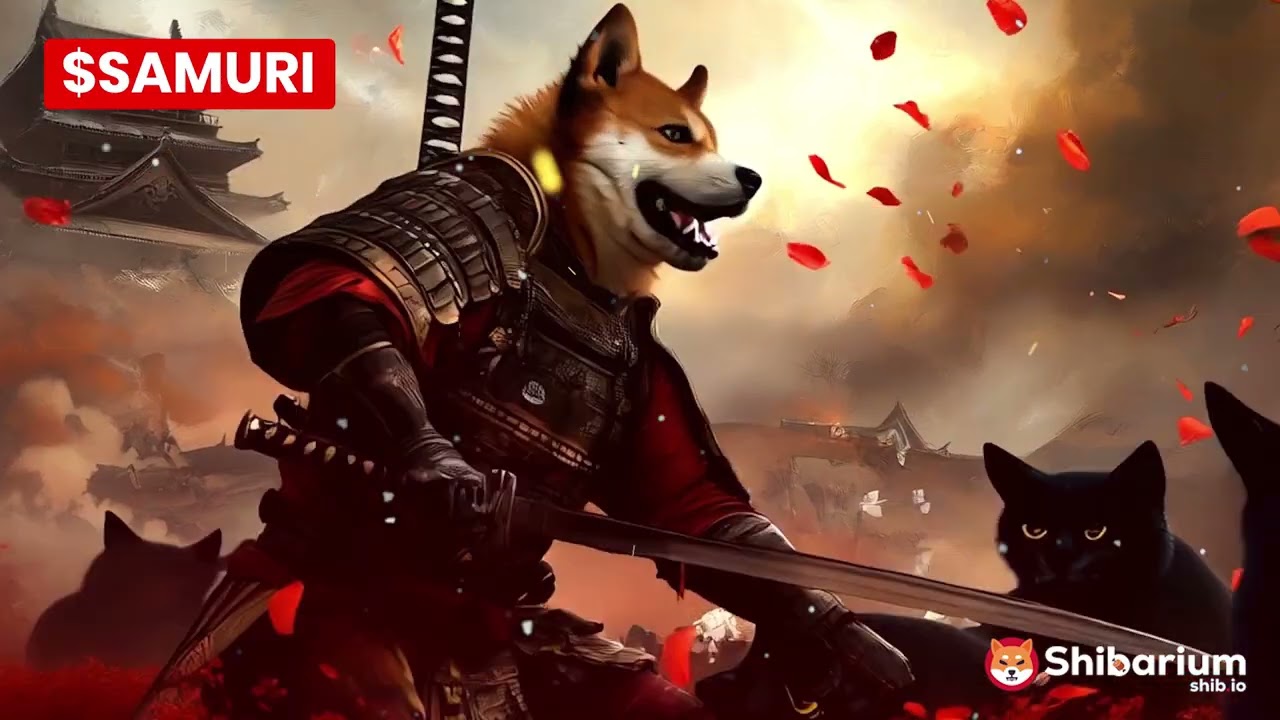 We must defeat the Shadowcats  - Samuri Shib Token on Shibarium Network