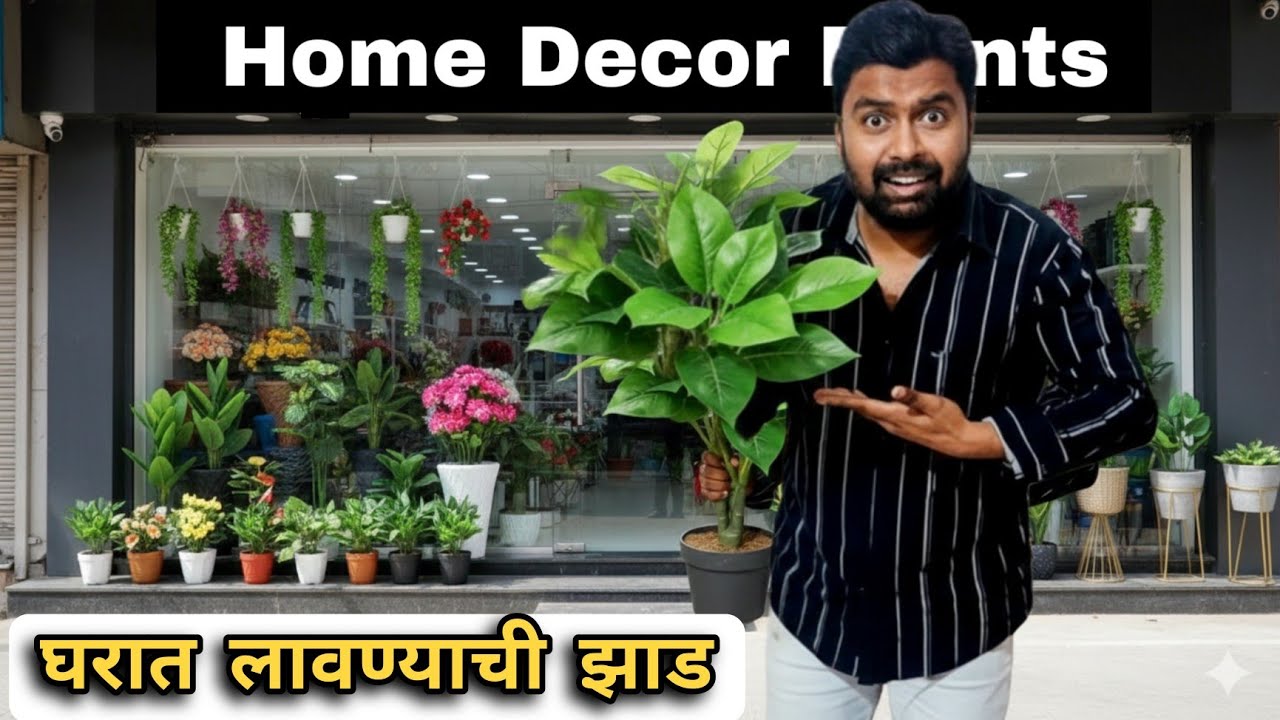 best Indoor Plants nashik 🌿 | artificial wholesale Market | nashik Shalimar shopping