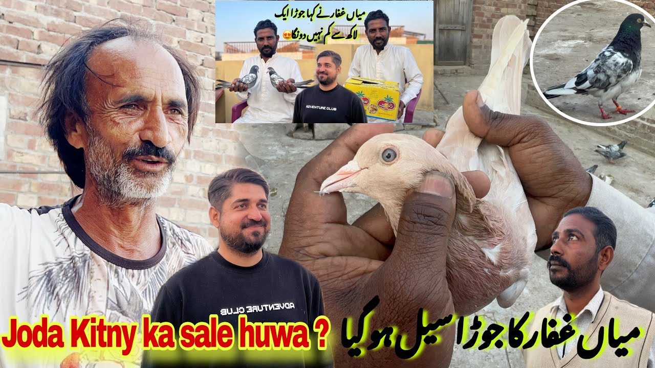 Mian ghafar ka joda Kitny ka sale huwa ? 