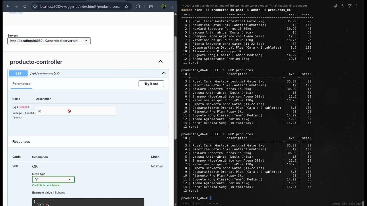 ProyectoFinalBackend