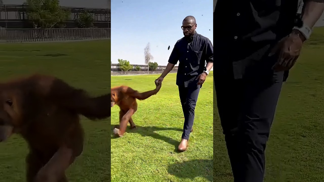 Floyd Mayweather BREAKS SILENCE on Terence Crawford Fight! #boxing #floyd #miketyson #viral