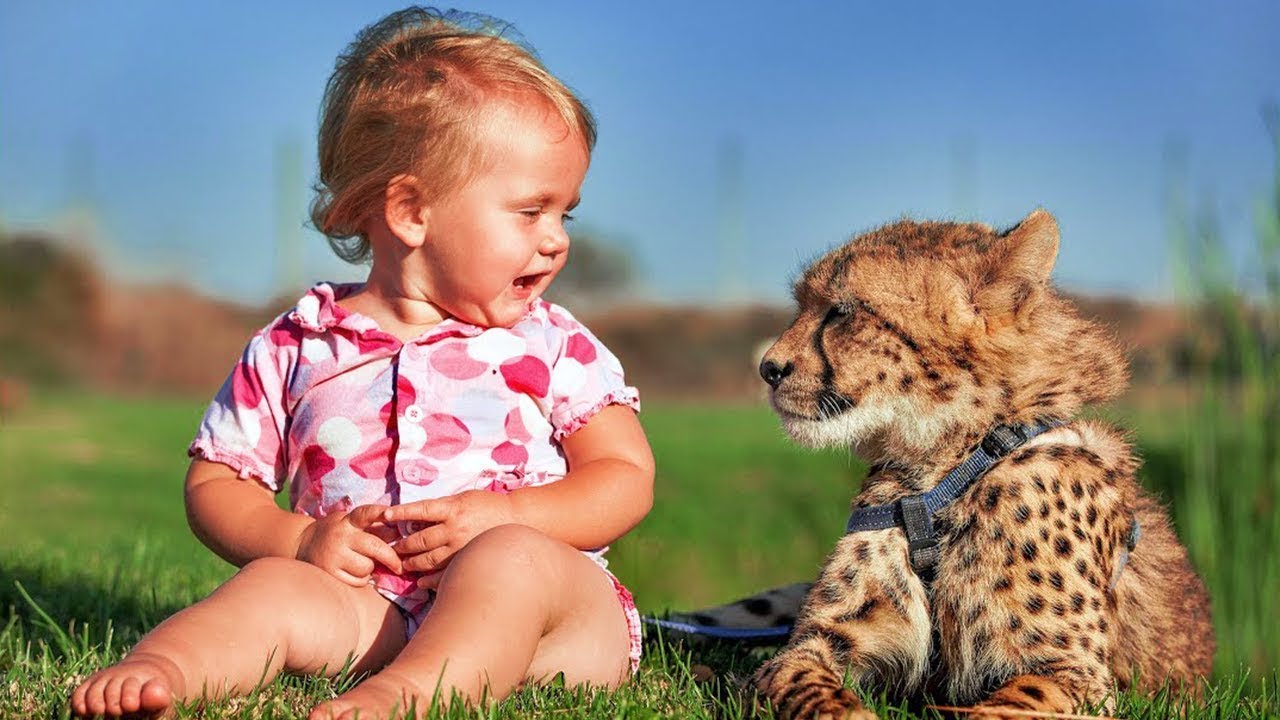 15 Incroyables Animaux De Compagnie Que Les Enfants Ont