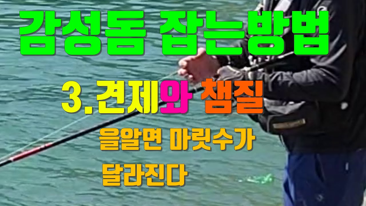 갯바위(견제와챔질을 알면 마릿수가 달라진다)(감성돔 잡는방법) 낚시의 채비법및  포인트 설명