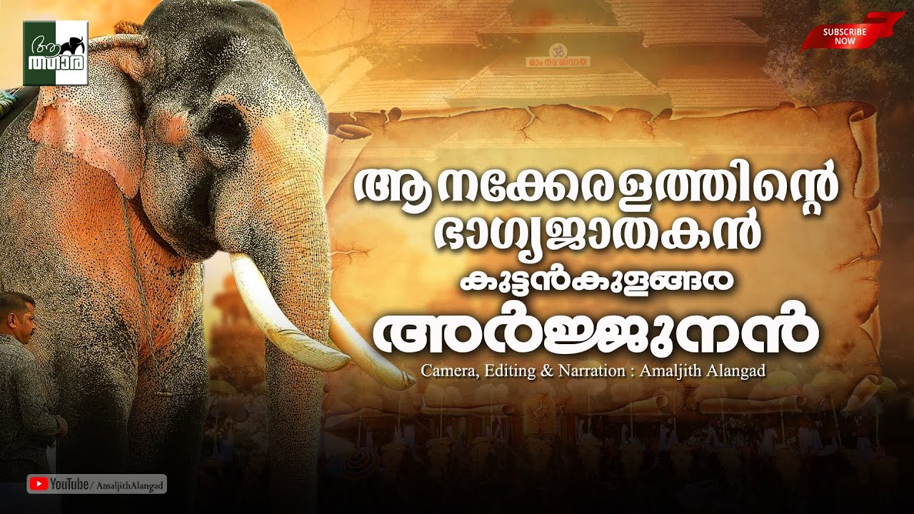 പൂരനഗരിയിലെ പുണ്ണ്യജന്മം കുട്ടൻകുളങ്ങര അർജ്ജുനൻ | Kuttankulangara Arjunan | Kerala Elephant