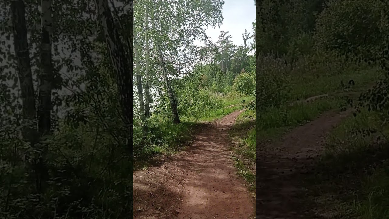 Взгляд.  #стихиожизни, любовь, лирика, отчаяние, отношения, судьба,боль,  душевная стих-огонь