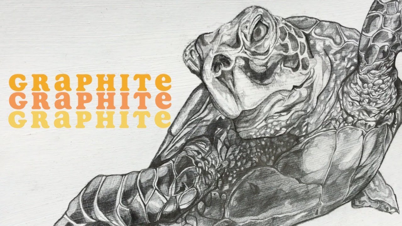 Turtle Pencil Speed-Drawing | Collaboration with Illustrayna
