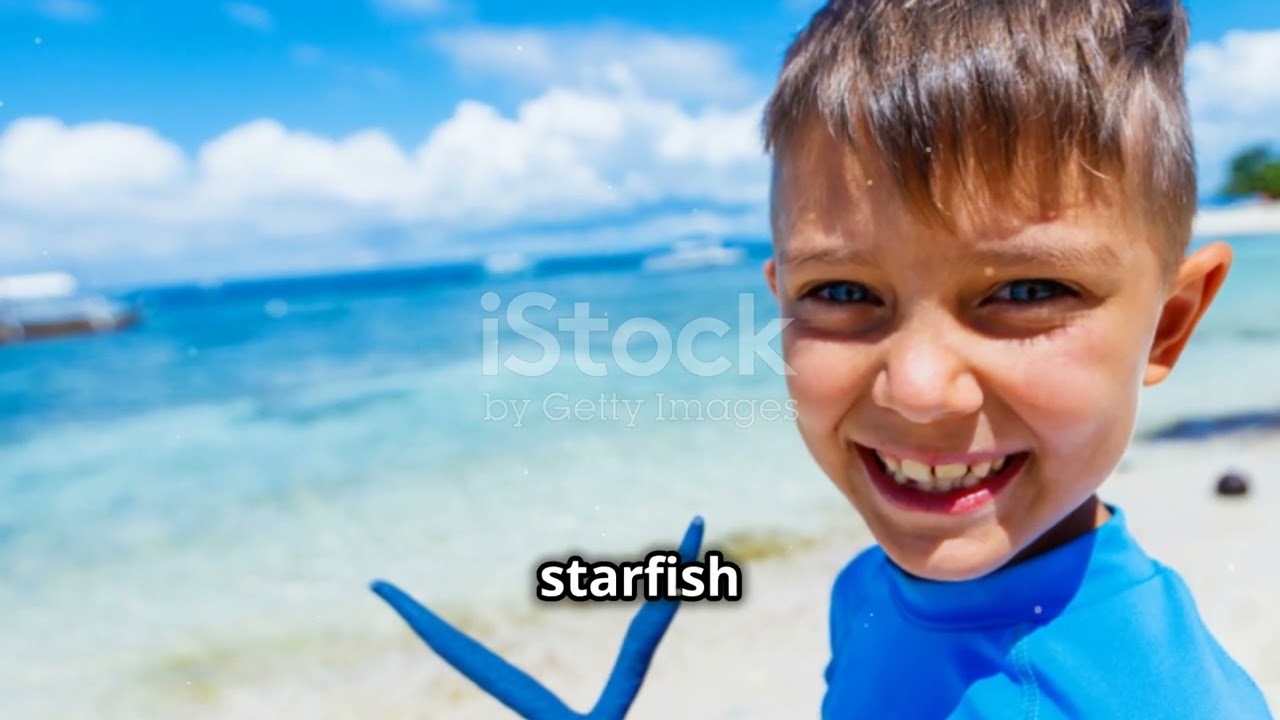 Adventures of beachcomber