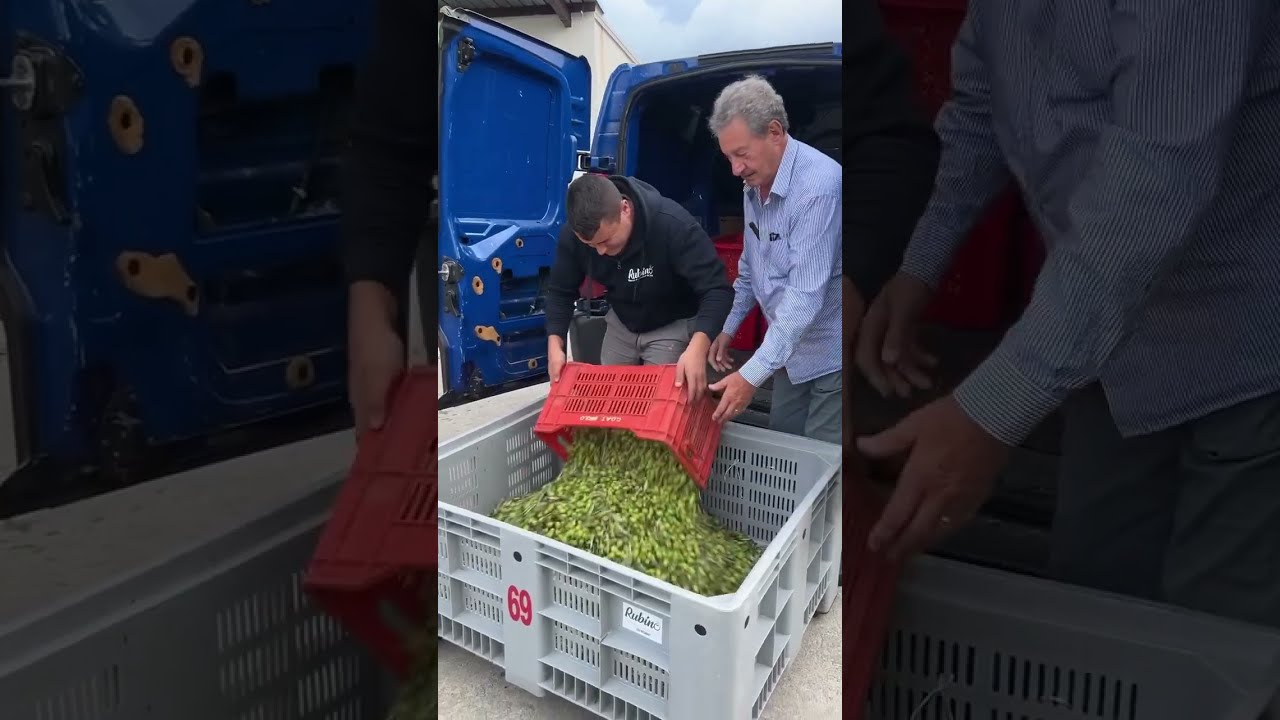Entriamo in frantoio, la molitura delle olive