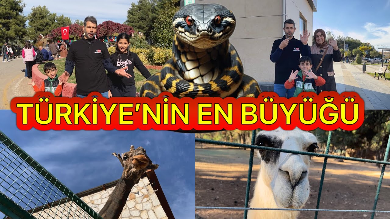 Türkiye’nin en büyük hayvanat bahçesine gittik!!!#hayvanatbahcesi