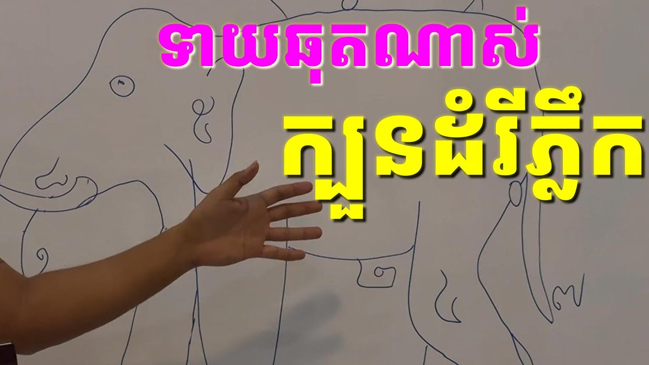 ទាយឆុតណាស់ ក្បួនគជសា ឬក្បួនទីនាំងដំរី ជាក្បួនចក្រភពខ្មែរ
