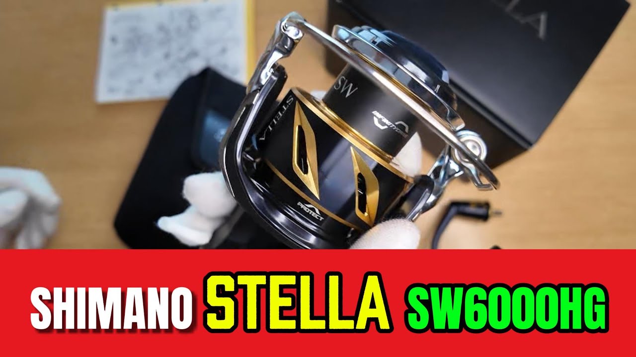 SHIMANO STELLA SW 6000HG