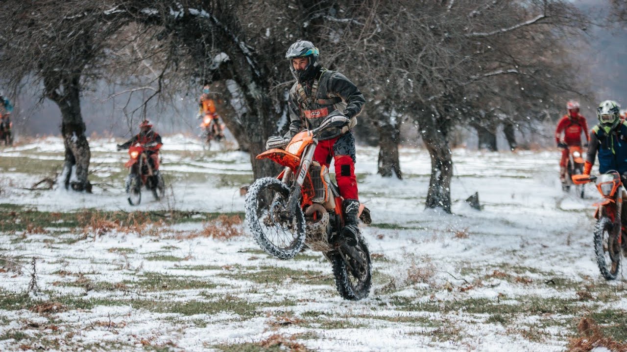 Wheels of Fire, Trails of Ice: a dance through the forest