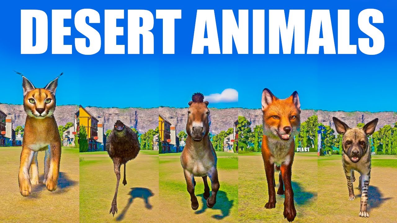 Desert Animals Speed Races in Planet Zoo included  Przewalski's Horse, Emu, Caracal, Hyena