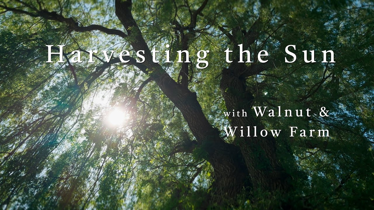 Harvesting the Sun with Walnut and Willow Farm