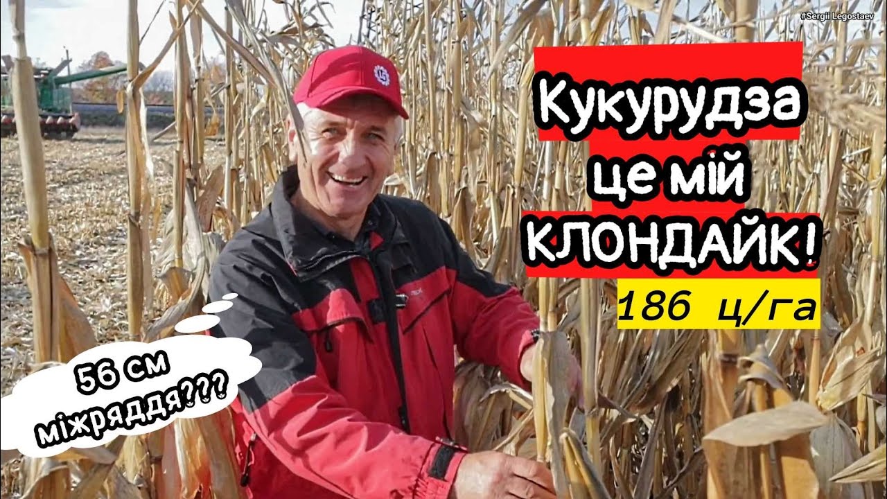 Як ювелір став фермером😳 Кукурудза на 56см - клондайк! Важко бути першим! Сівалка Horsch Maestro 11