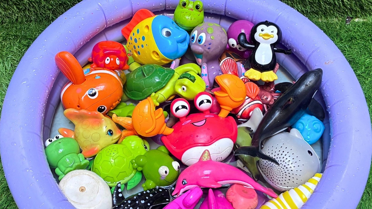 Learn Sea Animals for Kids - Fun Facts & Amazing Ocean Toys! Educational Video For Toddlers