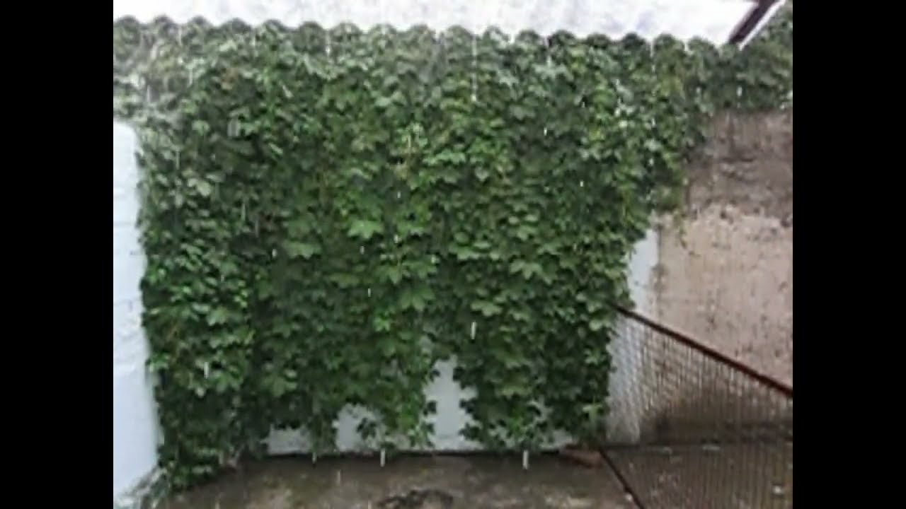 Heavy Rain - Slow Motion