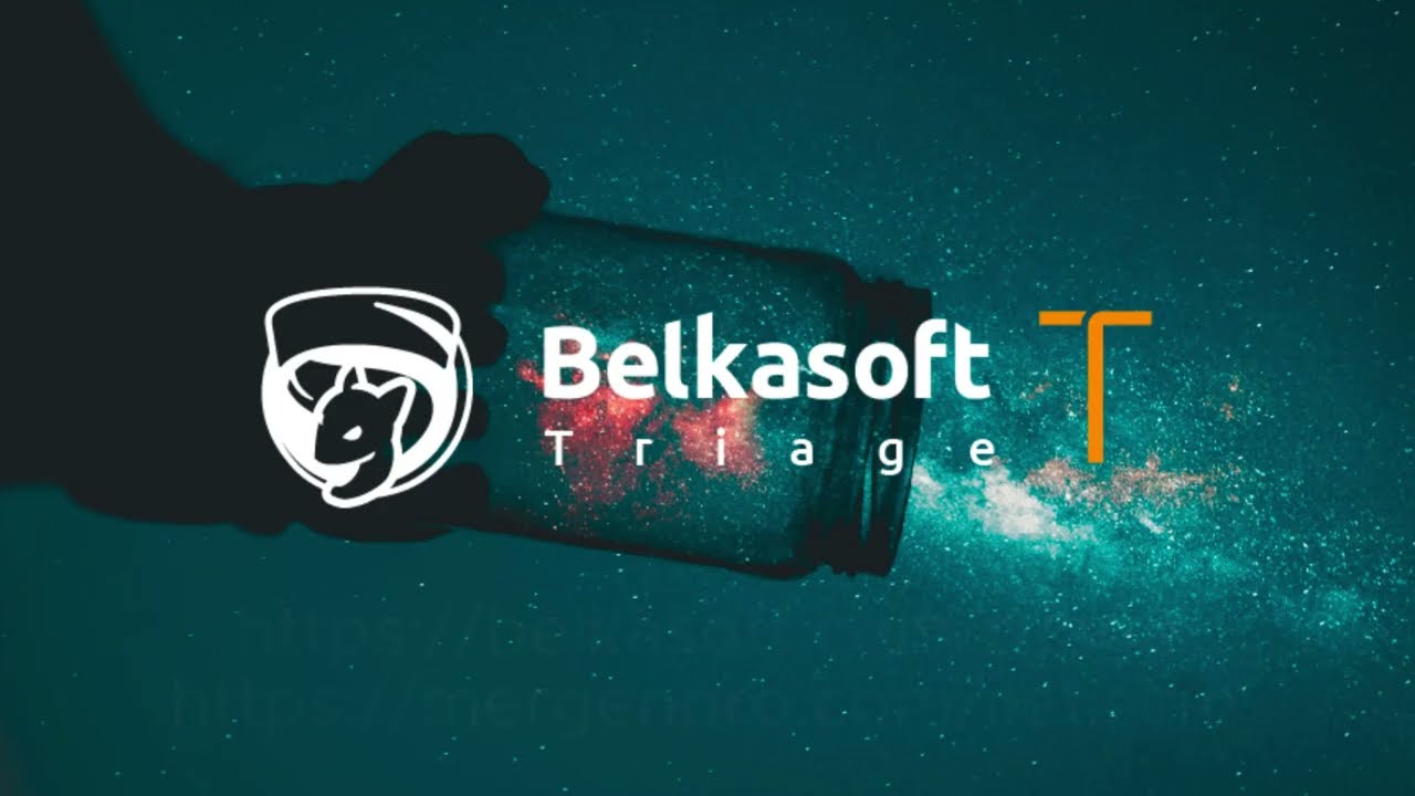 Belkasoft Triage ile Dijital Delil Toplama ve Analiz - Hızlı ve Etkili İnceleme