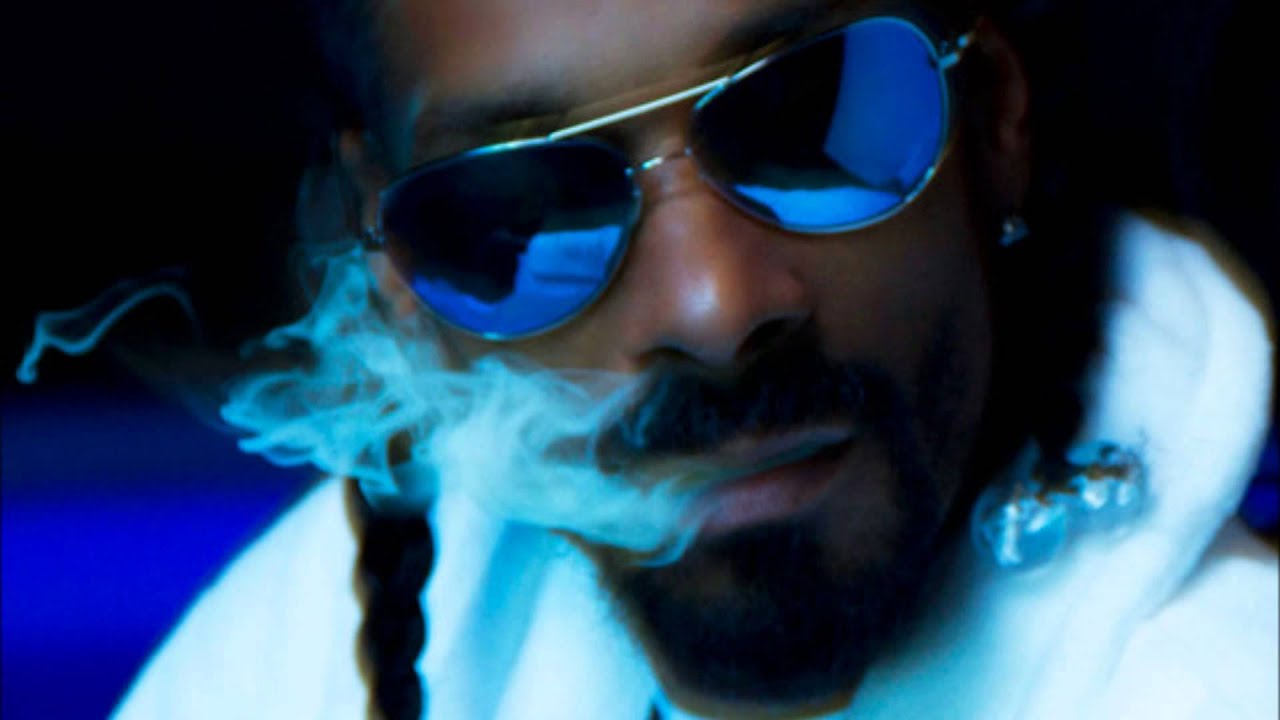 Snoop lion smoke weed every day