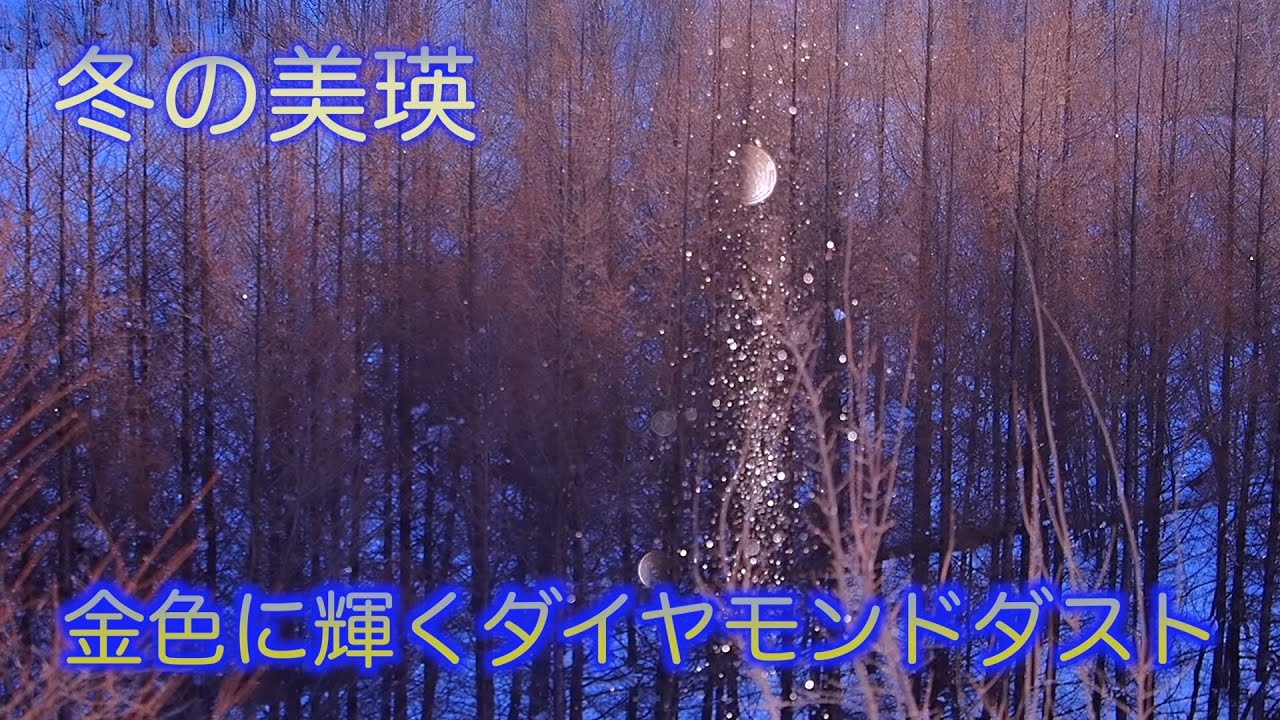 美瑛の丘をめぐる旅～2026冬編～前編