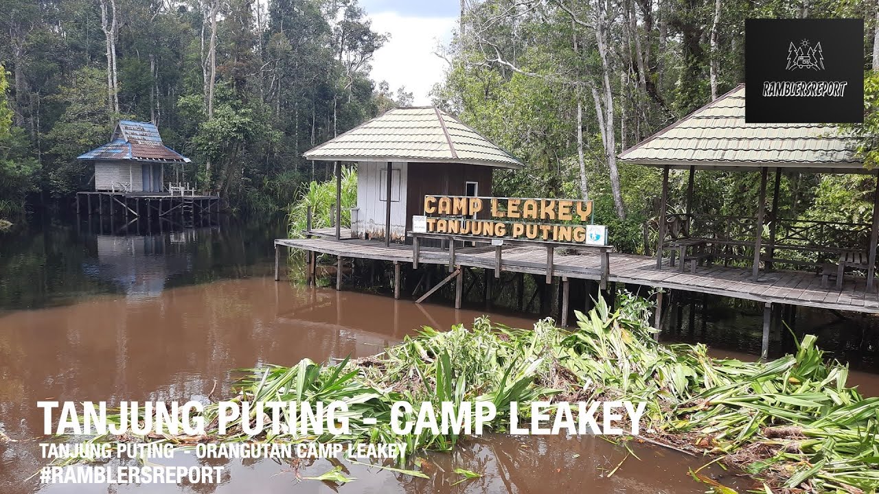 'Borneo Backpacking' - Tanjung Puting - Camp Leakey