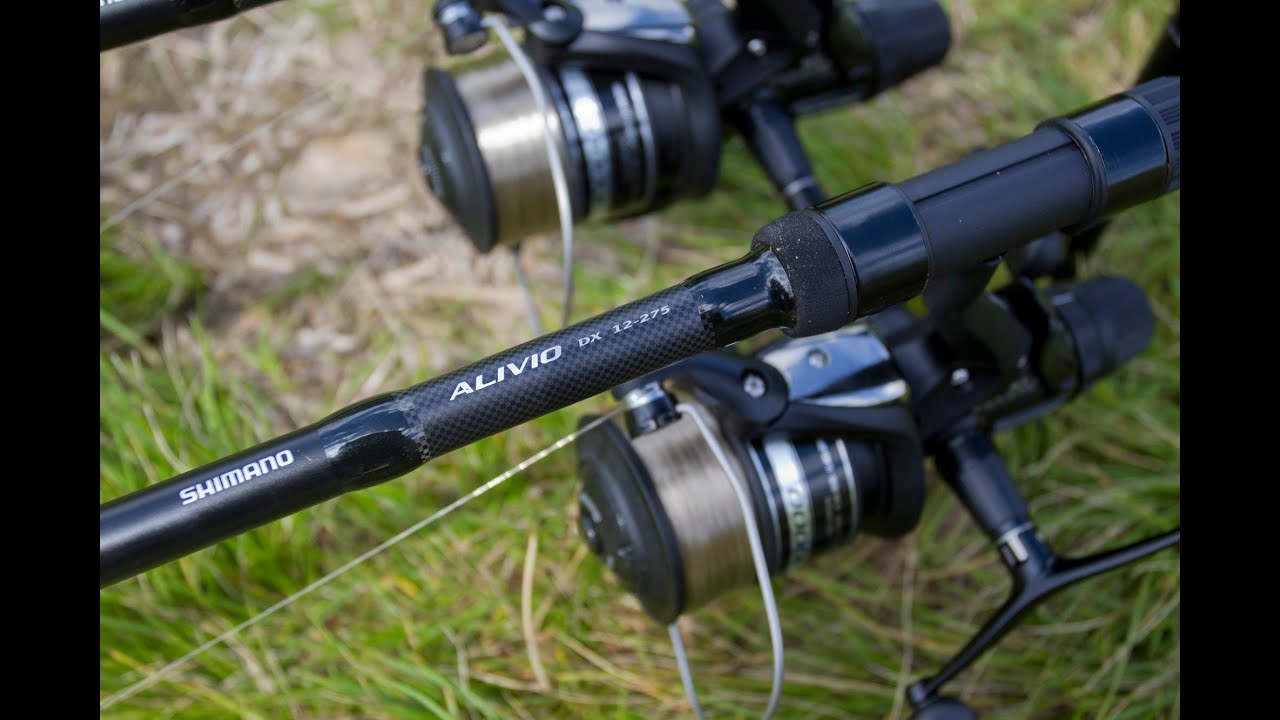 The Shimano Alivio DX Specimen and Baitrunner ST10000