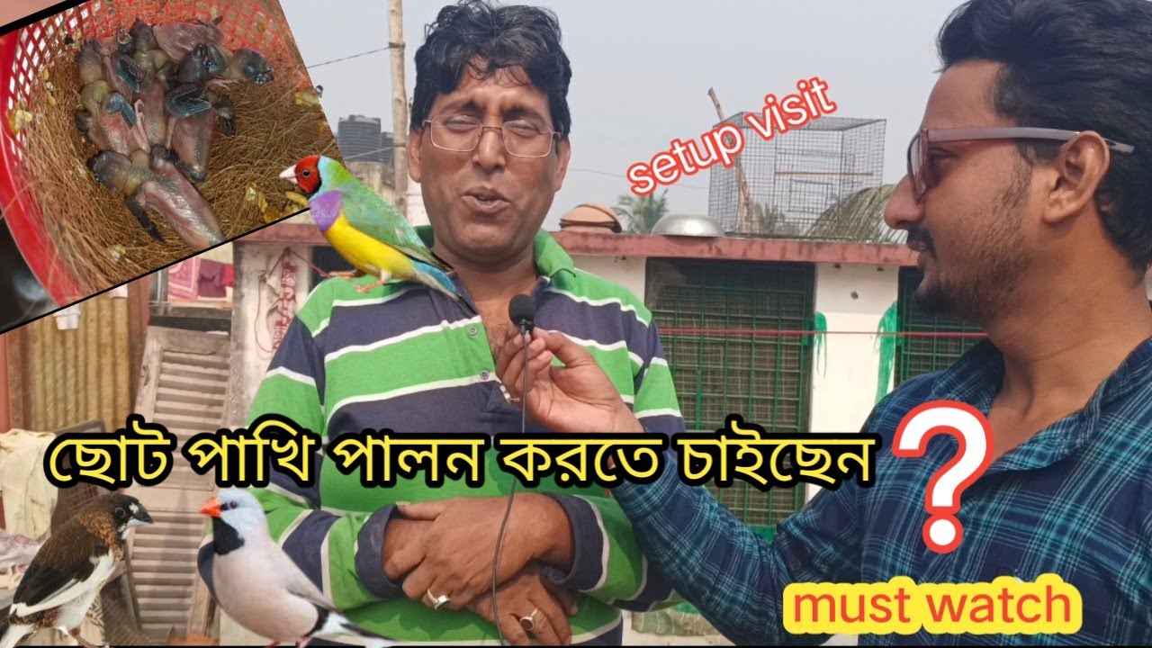 I visited Gopal kundu Dada's exotic finches bird breeding setup/গোল্ডেন/বেঙ্গলি/স্টারফিঞ্চ পাখিপালন।