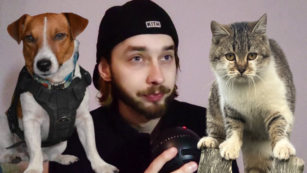 ХТО СТАНЕ НАСТУПНИМ ПРЕЗИДЕНТОМ? | Пес Патрон чи Кіт Сирський