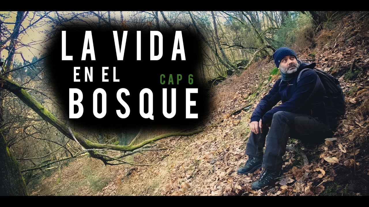 LA VIDA EN EL BOSQUE - Cap6: Fototrampeo en el BOSQUE mas SINIESTRO que conozco.