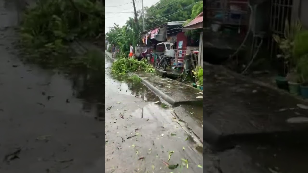 Typhoon #paeng aftermath #shorts #shortsvideo #youtubeshort #typhoon