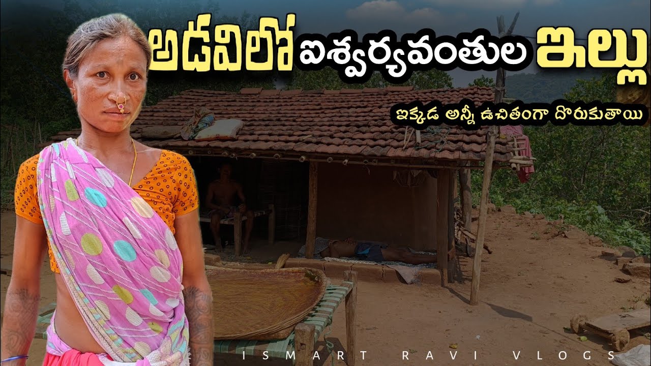 Richest indian tribes in forest || tribal house tour || old village culture