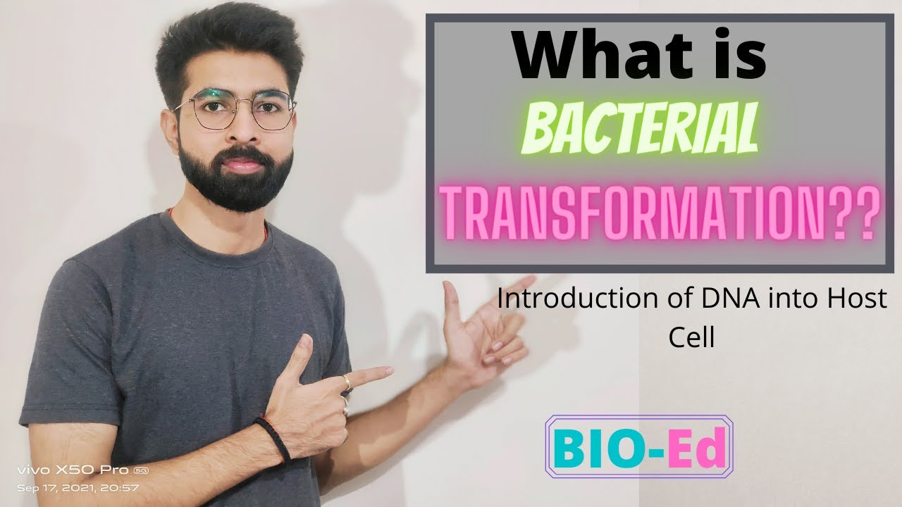 Bacterial Transformation || Introduction of DNA into Host Cell ||