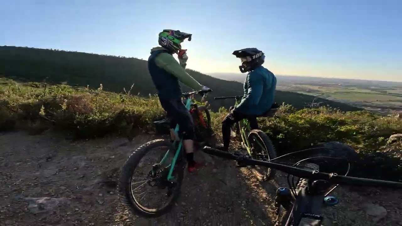 Calcifer - Calci - MTB