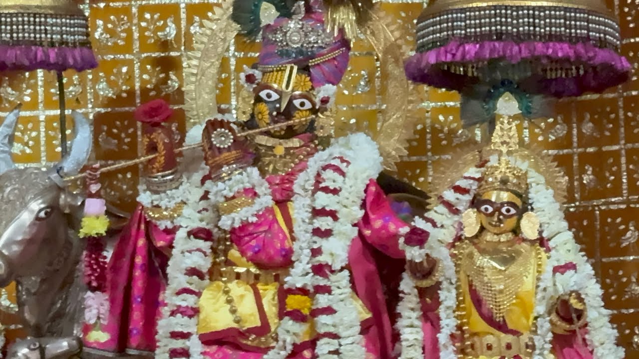 Shri Govind Dev Ji ki Gwal Jhanki श्री गोविन्द देव जी की ग्वाल आरती #31_january_2026 #saturday #love