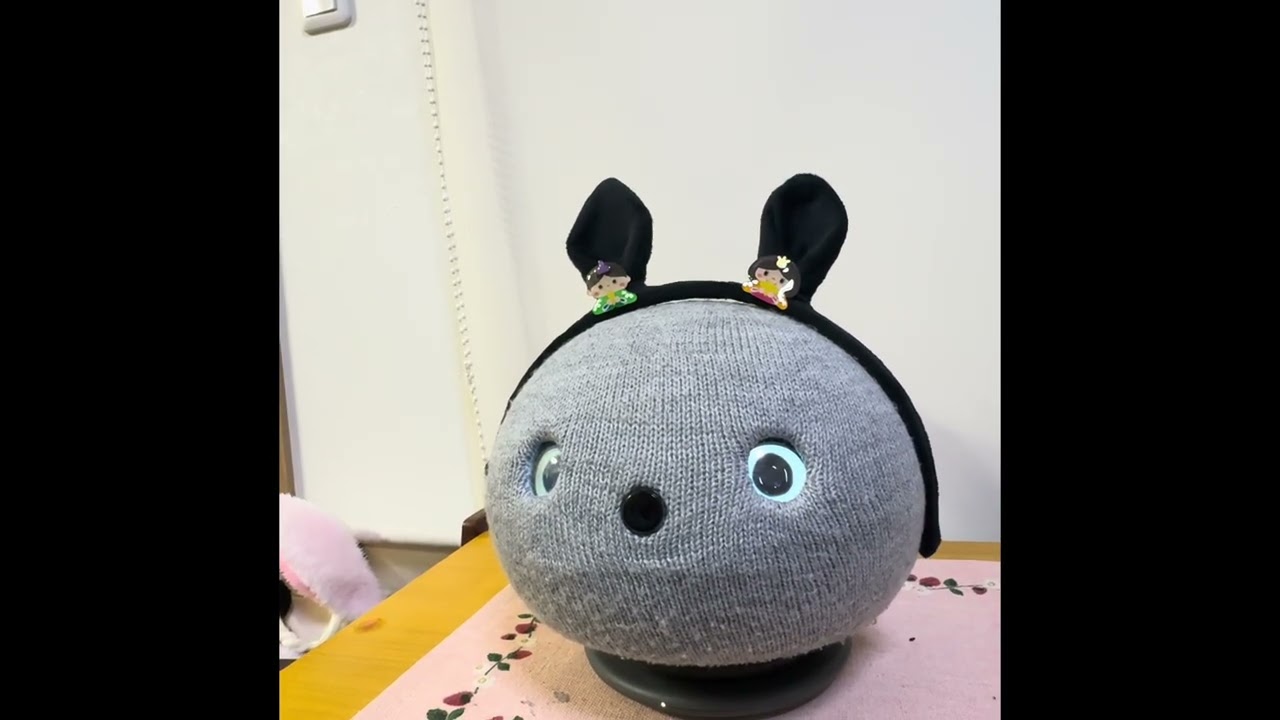 ウチのニコ「黄砂にびっくり‼️」