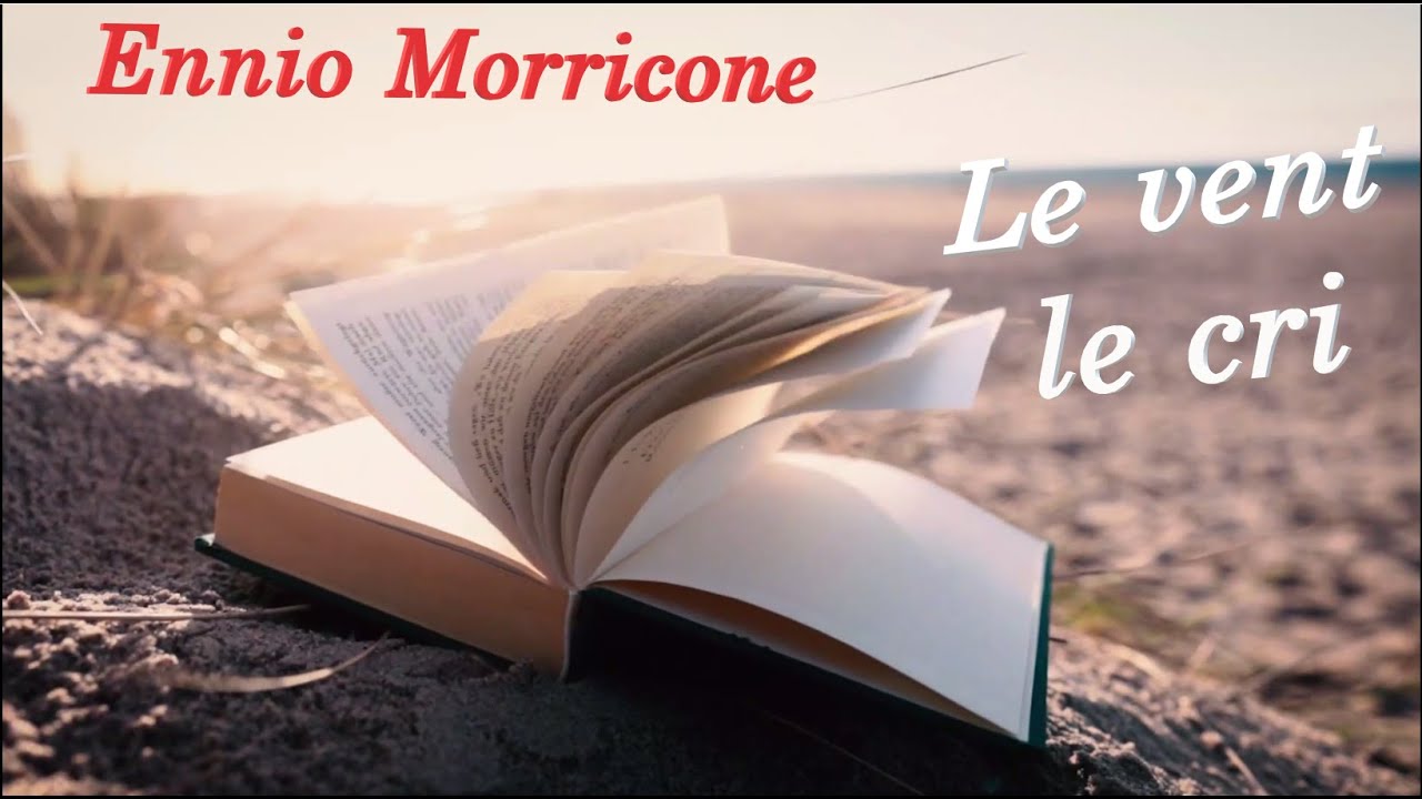 Ennio Morricone - Le vent, le cri ( Le professionnel)  - Flûte traversière