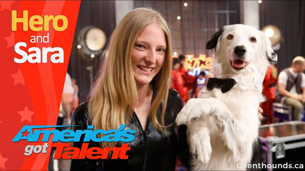 Amazing Trick Dog Hero the Super Collie and Sara - Behind the Scenes