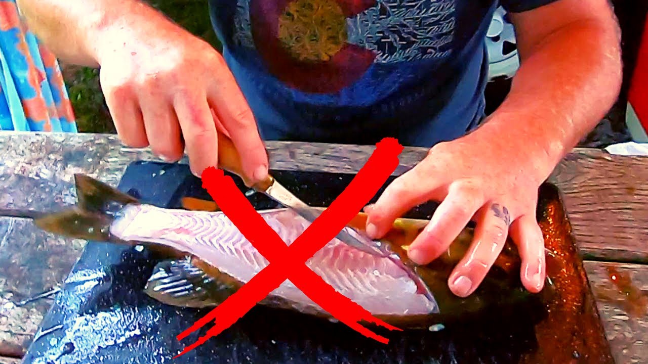 How to Fillet a Smallmouth Bass - No Bones/Guts - Step by Step